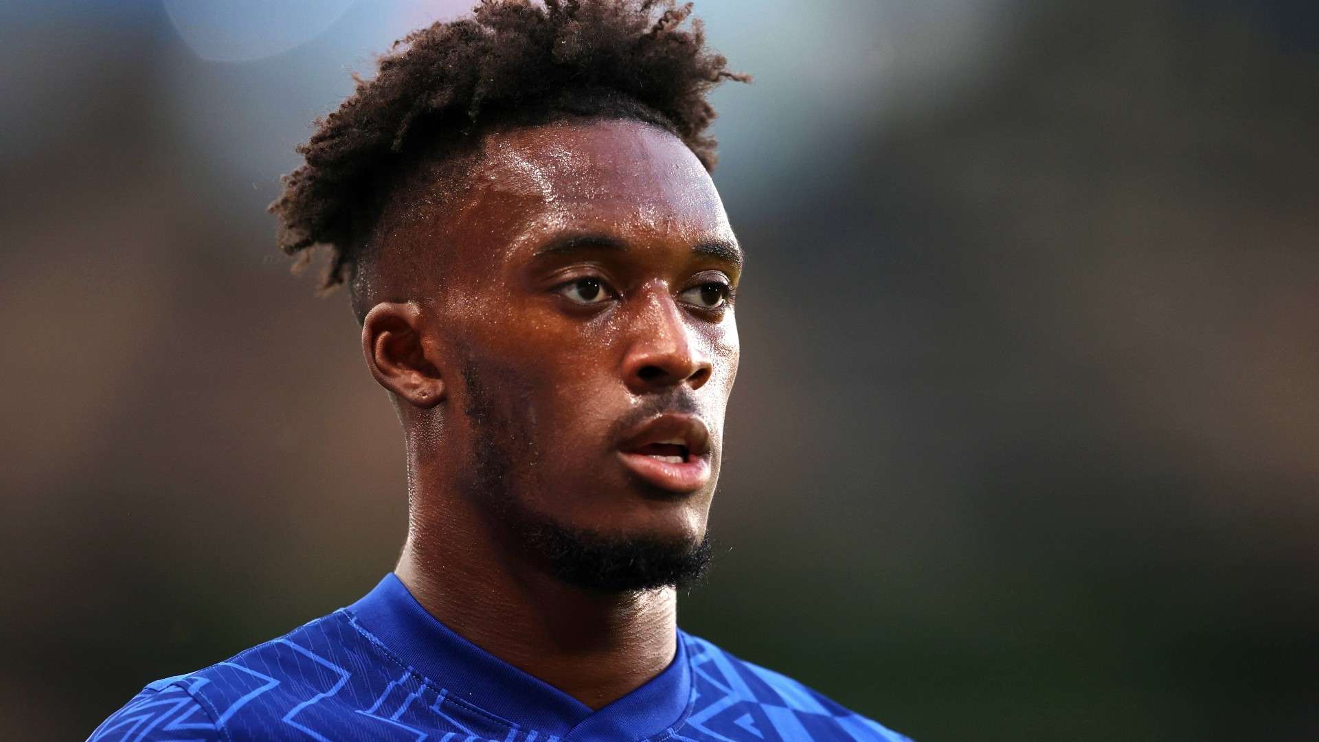 本文将从南 本文将从南